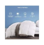 White Microfiber Down Alternative Comforter - Quilted Grid Duvet Insert