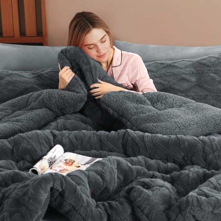 Ultra-Soft Taffeta Comforter - Warm Winter Quilt & Velvet Blanket