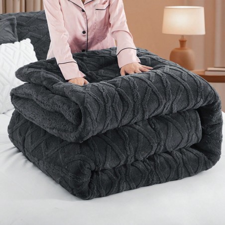 Ultra-Soft Taffeta Comforter - Warm Winter Quilt & Velvet Blanket