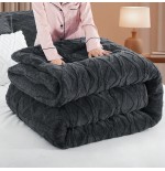 Ultra-Soft Taffeta Comforter - Warm Winter Quilt & Velvet Blanket