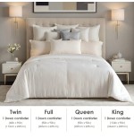 All-Season Quilted Down Comforter - Fluffy & Luxurious Duvet Insert