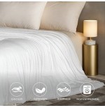 All-Season Quilted Down Comforter - Fluffy & Luxurious Duvet Insert